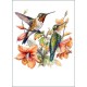 FLORAL BEAUTIES GREETING CARD Hummingbird 6